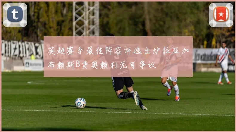英超赛季最佳阵容评选出炉拉亚加布赖斯B费奥赖利无可争议